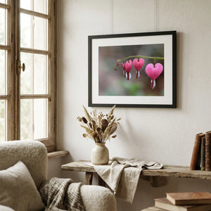 Dipaliz bleeding hearts framed poster - pink flowers - prints