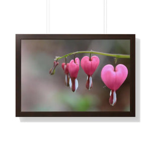 Bleeding Hearts Gallery Poster Pink Flowers Framed Art Dipaliz - 30’’ x 20’’ / Walnut - Posters Prints & Visual Artwork