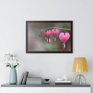 Bleeding Hearts Gallery Poster Pink Flowers Framed Art Dipaliz - Posters Prints & Visual Artwork