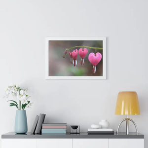 Bleeding Hearts Gallery Poster Pink Flowers Framed Art Dipaliz - Posters Prints & Visual Artwork