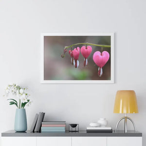 Bleeding Hearts Gallery Poster Pink Flowers Framed Art Dipaliz - Posters Prints & Visual Artwork