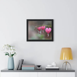 Bleeding Hearts Gallery Poster Pink Flowers Framed Art Dipaliz - Posters Prints & Visual Artwork