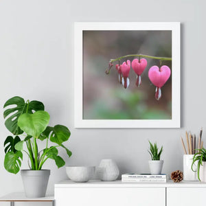 Bleeding Hearts Gallery Poster Pink Flowers Framed Art Dipaliz - Posters Prints & Visual Artwork