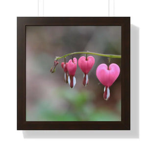 Bleeding Hearts Gallery Poster Pink Flowers Framed Art Dipaliz - Posters Prints & Visual Artwork