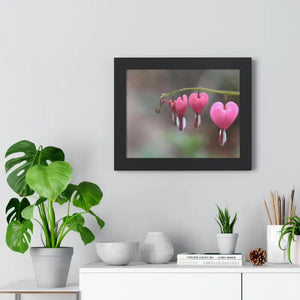 Bleeding Hearts Gallery Poster Pink Flowers Framed Art Dipaliz - Posters Prints & Visual Artwork