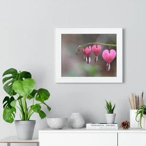 Bleeding Hearts Gallery Poster Pink Flowers Framed Art Dipaliz - Posters Prints & Visual Artwork