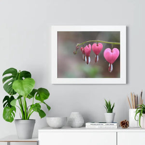 Bleeding Hearts Gallery Poster Pink Flowers Framed Art Dipaliz - Posters Prints & Visual Artwork