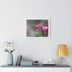 Bleeding Hearts Gallery Poster Pink Flowers Framed Art Dipaliz - Posters Prints & Visual Artwork