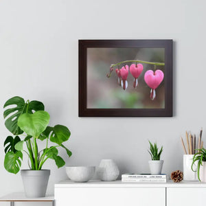 Bleeding Hearts Gallery Poster Pink Flowers Framed Art Dipaliz - Posters Prints & Visual Artwork