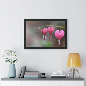 Bleeding Hearts Gallery Poster Pink Flowers Framed Art Dipaliz - Posters Prints & Visual Artwork
