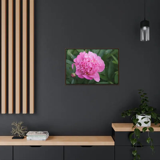 Spruce Up your Space with Vibrant Pink Peony Gallery Canvas