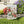 Vibrant Bloom House Banner – Poly Poplin Canvas - Dipaliz - Flags & Windsocks