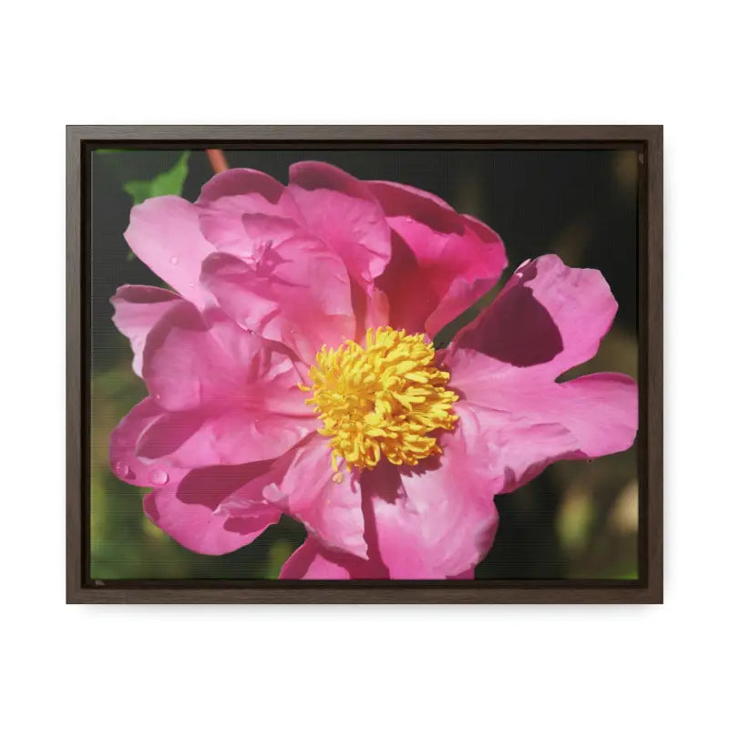 Elegance in Bloom: Pink Flower Gallery Canvas Wrap - 14″ x 11″ / Walnut / Premium Wraps (1.25″)