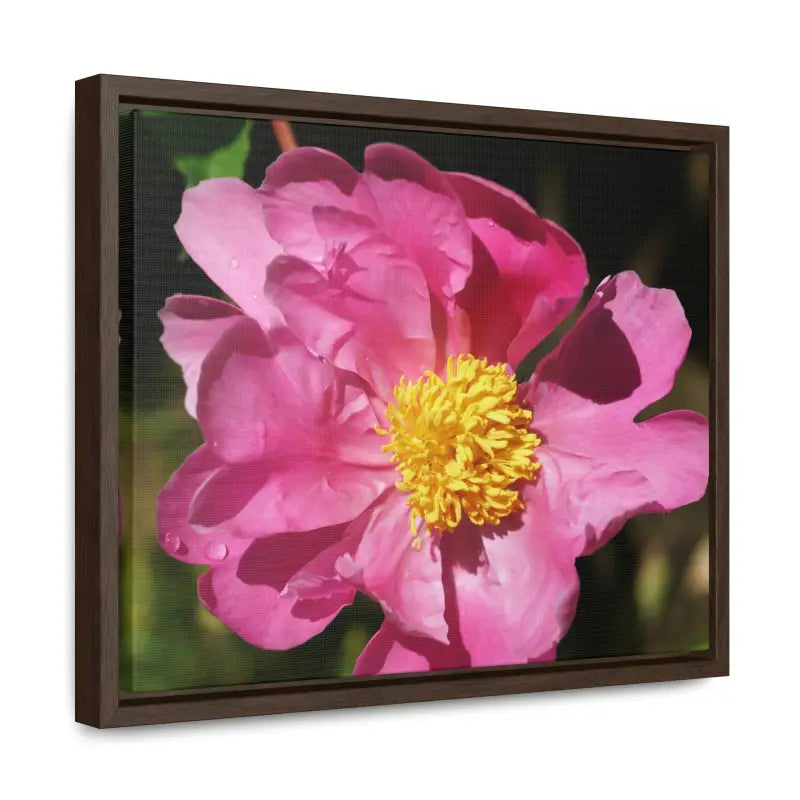 Elegance in Bloom: Pink Flower Gallery Canvas Wrap