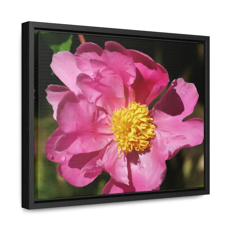 Elegance in Bloom: Pink Flower Gallery Canvas Wrap