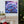 Blue Forget-me-not Canvas Gallery Wraps - Cotton - Dipaliz - Prints