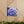 Blue Forget-me-not Canvas Gallery Wraps - Cotton - Dipaliz - Prints