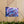 Blue Forget-me-not Canvas Gallery Wraps - Cotton - Dipaliz - Prints