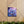 Blue Forget-me-not Canvas Gallery Wraps - Cotton - Dipaliz - Prints