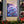 Blue Forget-me-not Canvas Gallery Wraps - Cotton - Dipaliz - Prints