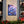 Blue Forget-me-not Canvas Gallery Wraps - Cotton - Dipaliz - Prints