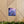 Blue Forget-me-not Canvas Gallery Wraps - Cotton - Dipaliz - Prints