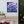 Blue Forget-me-not Canvas Gallery Wraps - Cotton - Dipaliz - Prints