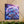 Blue Forget-me-not Canvas Gallery Wraps - Cotton - Dipaliz - Prints