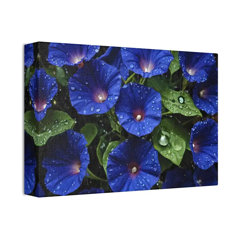 Enchant your Space: Blue Morning Glory Canvas Marvel - 12’’ x 8’’ (horizontal) / 1.5’’