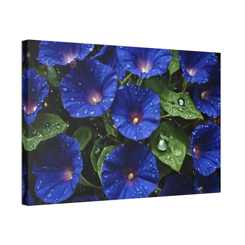 Enchant your Space: Blue Morning Glory Canvas Marvel - 30″ x 20″ (horizontal) / 1.5’’