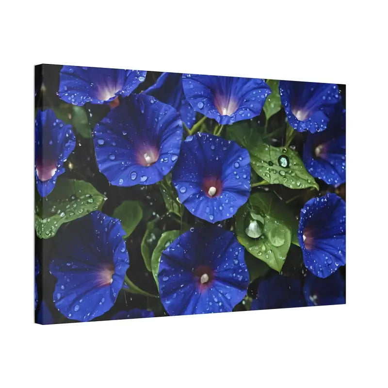 Enchant your Space: Blue Morning Glory Canvas Marvel - 36″ x 24″ (horizontal) / 1.5’’