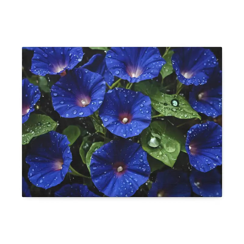 Enchant your Space: Blue Morning Glory Canvas Marvel