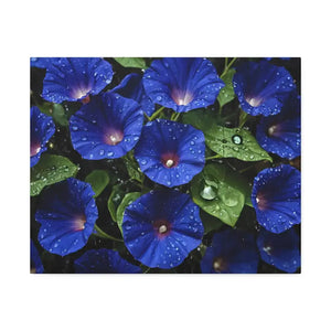 Canvas - Blue Morning Glory Art - Rainy Bloom Print - Dipaliz 20″ x 16″ (horizontal) / 1.5’’