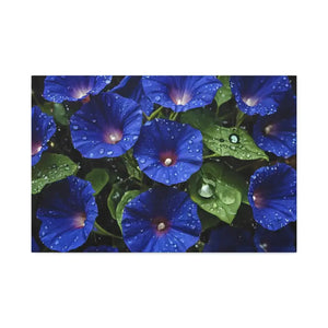 Canvas - Blue Morning Glory Art - Rainy Bloom Print - Dipaliz 30″ x 20″ (horizontal) / 1.5’’