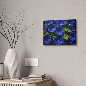 Canvas - Blue Morning Glory Art - Rainy Bloom Print - Dipaliz