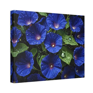 Canvas - Blue Morning Glory Art - Rainy Bloom Print - Dipaliz