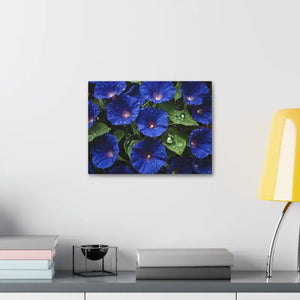 Canvas - Blue Morning Glory Art - Rainy Bloom Print - Dipaliz