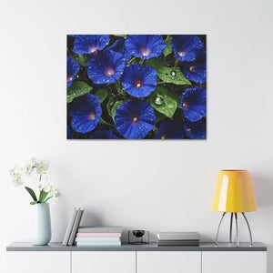Canvas - Blue Morning Glory Art - Rainy Bloom Print - Dipaliz
