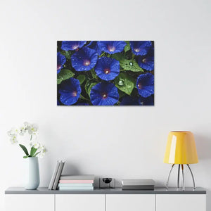 Canvas - Blue Morning Glory Art - Rainy Bloom Print - Dipaliz
