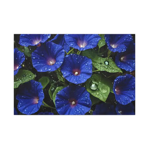 Canvas - Blue Morning Glory Art - Rainy Bloom Print - Dipaliz