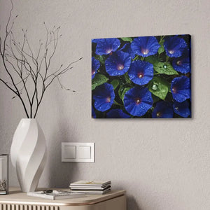 Canvas - Blue Morning Glory Art - Rainy Bloom Print - Dipaliz
