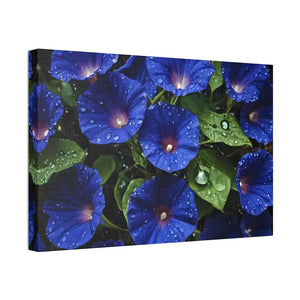 Canvas - Blue Morning Glory Art - Rainy Bloom Print - Dipaliz