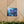 Blue Orchid Canvas – Patented Support Face - Dipaliz - Prints