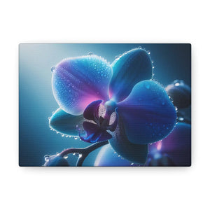 Blue Orchid Canvas – Patented Support Face - Dipaliz - Prints