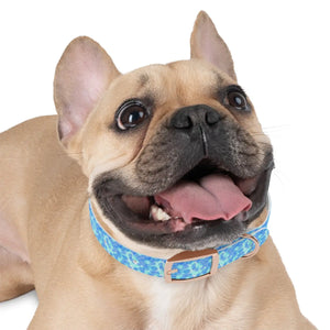Personalized Blue Spheres Dog Collar - Odor Resistant - Dipaliz - Standard Collars