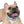 Personalized Blue Spheres Dog Collar - Odor Resistant - Dipaliz - Standard Collars