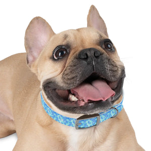 Personalized Blue Spheres Dog Collar - Odor Resistant - Dipaliz - Standard Collars