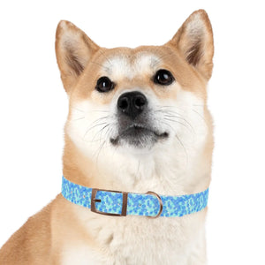 Personalized Blue Spheres Dog Collar - Odor Resistant - Dipaliz - Standard Collars