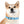 Personalized Blue Spheres Dog Collar - Odor Resistant - Dipaliz - Standard Collars