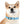 Personalized Blue Spheres Dog Collar - Odor Resistant - Dipaliz - Standard Collars